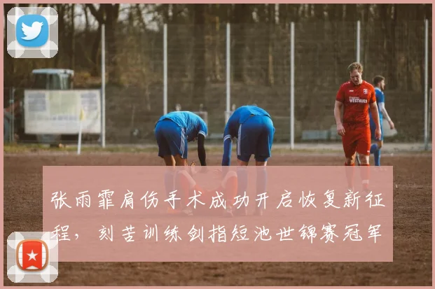 张雨霏肩伤手术成功开启恢复新征程，刻苦训练剑指短池世锦赛冠军