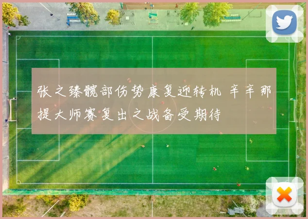 张之臻髋部伤势康复迎转机 辛辛那提大师赛复出之战备受期待