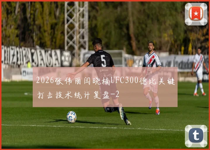 2026张伟丽闫晓楠UFC300德比关键打击技术统计复盘
