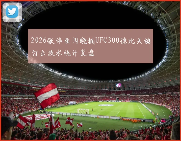 2026张伟丽闫晓楠UFC300德比关键打击技术统计复盘